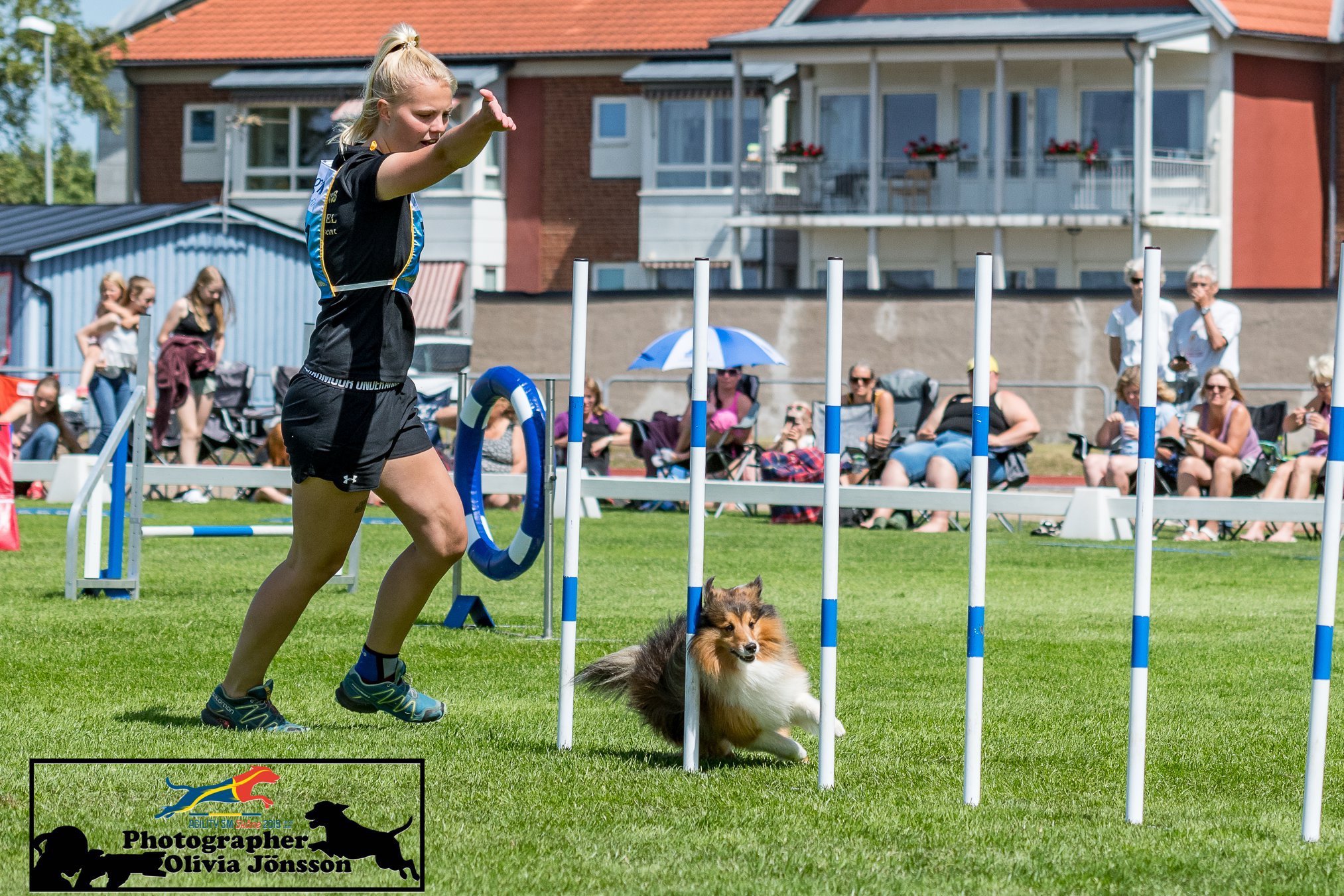 Agility - den roliga och fartfulla sporten-arkiv - Hundelska